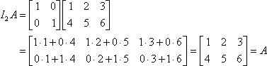 Displays the multiplication of I_2 by A