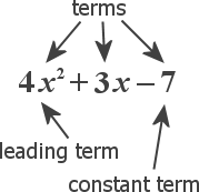 polynomial is 4x^2 + 3x − 7, with 4x^2, 3x, and 7 marked as "terms", 4x^2 marked as the "leading term", and 7 marked as the "constant term"